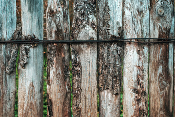 Burnt boards. Wooden background. A fence on an autumn day in nature. Old wood planks. With green leaves on background.