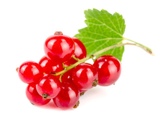 Red currant berries with leaf isolated on white background