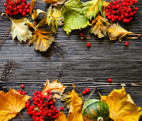 Wooden backgrounds with dry leaves and ashberry and copy space
