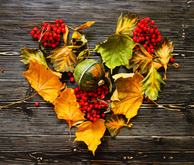 Wooden backgrounds with dry leaves and ashberry and copy space