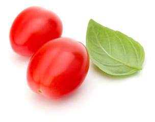 fresh plum tomato with basil leaf isolated on white background