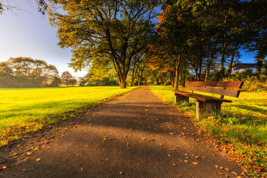 Schwalbach Bank im Herbst