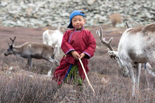 Little tsaatan boy posing with his family's reindeer.