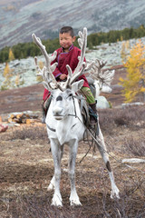 Little tsaatan boy riding on his family's reindeer.