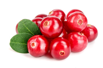 Cranberry with leaf isolated on white background closeup macro