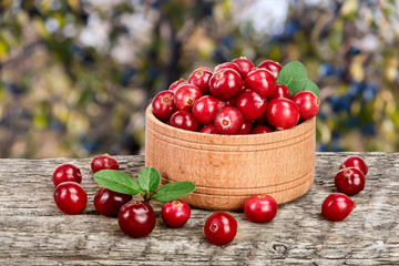 Cranberry with leaf in wooden bowl on old wooden table with a blurry garden background