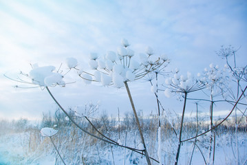 Beautiful winter  travel