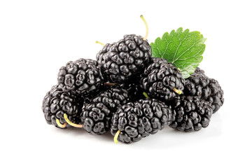 Mulberry berry with leaf isolated on white background