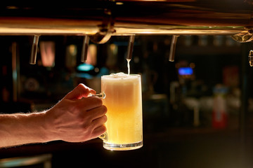 Dispensing draught beer in glass. Barman hand at beer tap pouring fresh cold beer. Beer pouring...