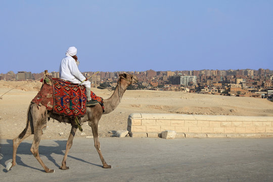 Kamelreiter auf Kamel reitet auf Straße mit Kairo im Hintergrund