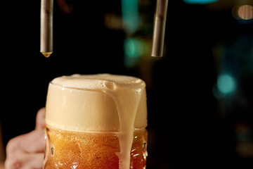 Barman pouring fresh beer in night club. Close up bartender hand at beer tap pouring fresh drink....