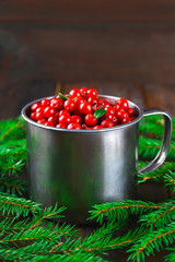 Cowberry, foxberry, cranberry, lingonberry in an aluminum mug on a brown wooden table. Surrounded by fir branches.