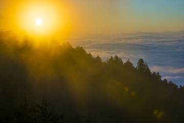 Smoky Mountain sunrise rays through tree shadow silhouettes in the misty mountaintop fog above the clouds