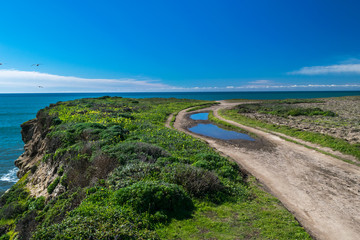 Daily walks along Pacific shore, Sand Hill Bluff, Panther Beach, California, USA