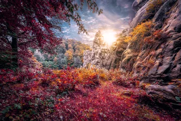 Berg Aussicht © Freitag Fotografie