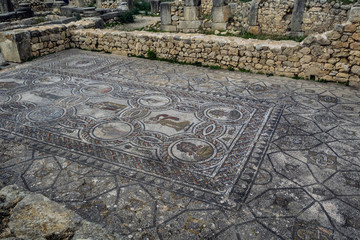 Morocco Volubilis Walili mosaic Four Seasons in situ