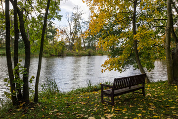 autumn colors in the park