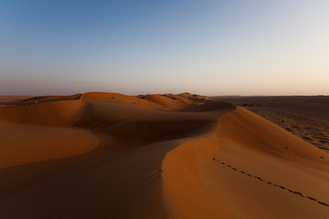 Fototapeta na wymiar Desert Sands