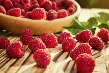 raspberries in a plate,in wooden bowl,basket/bush branch/growing raspberries,raspberries background closeup photo,high resolution product,Delicious first class organic fruit,Raspberry as background