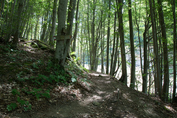 Sentiero, valle della Volpara, Umito, estate 