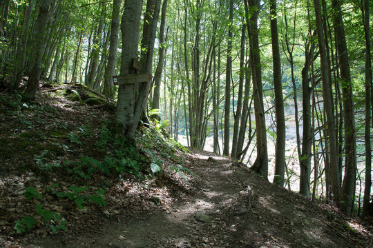 Sentiero, valle della Volpara, Umito, estate 