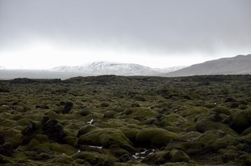 アイスランド　道路　橋　絶景　冬　レンタカー　セルフドライブ　iceland island winter road bride rental car self drive