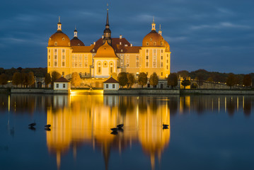 Fototapeta na wymiar Moritzburg Castle ,night photography,Goose sleeping on the lake