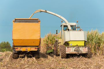 Agricultural machinery by the corn harvest - 0798