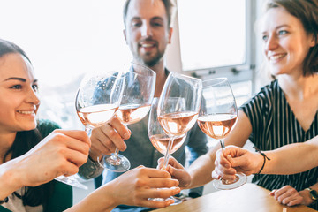 friends toasting together and having fun around a table