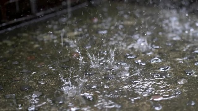 Drops of rain splashing during rain. Slow motion shot