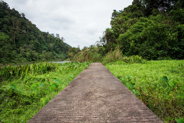 Concrete walk way at Thale Ban National park, Satun Province, thailand