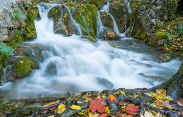 Fototapeta na wymiar Scenic Plitvice lakes national park in autumn time, Croatia