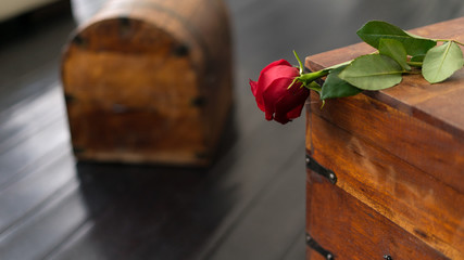 rose and chest