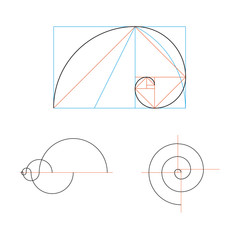 Minimalistic style design. Golden ratio. Geometric shapes. Circles in golden proportion.