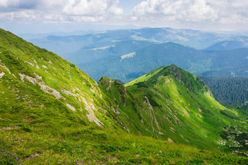 green mountains of Ukraine, Carpathians