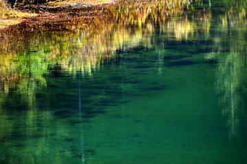 Fototapeta na wymiar Green Moss Gold Lake Yellow Reflection Snoqualme Pass Washington