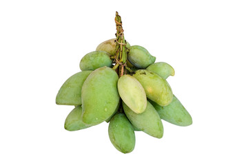 Bunch of young mango isolated on white with Clipping Path