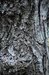 Wood and abstract art 