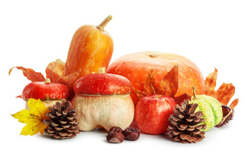 Autumn display with pumpkin and leaves isolated on white background