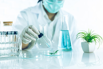 Beauty background, scientist is sampling a chemical extract from organic natural, research and...