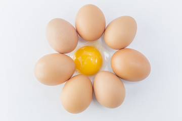 Egg