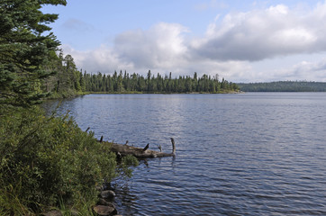 Naklejka premium North Woods Lake on a Quiet Summer Day