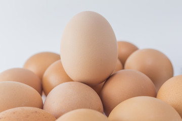 Egg