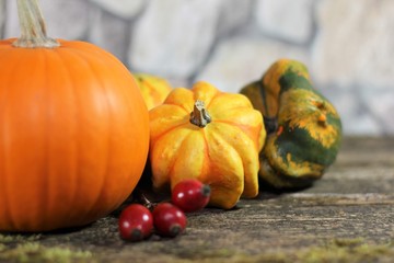 October is harvest time also still life with ornamental gourds