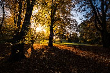 Park Theresienstein in der Stadt Hof im Gegenlicht