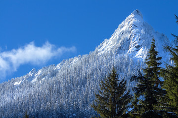 McClellan Butte Snowy Trees Snow Mountain Peak, Snoqualme Pass Washington