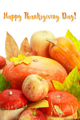 Happy Thanksgiving tag with autumn pumpkins