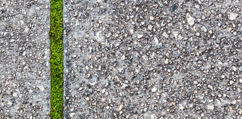 Textura de concreto e linha com planta verde.