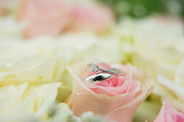 wedding rings in flowers