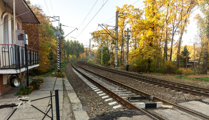 Fototapeta premium Railroad tracks on the background of autumn forest